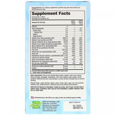 Витамины для детей Мишки Ямми фруктовый вкус без сахара Hero Nutritional Products (Multi-Vitamin & Mineral) 60 шт. купить в Киеве и Украине