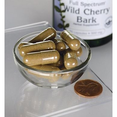 Дика вишня з повним спектром, Full Spectrum Wild Cherry Bark, Swanson, 500 мг, 90 капсул