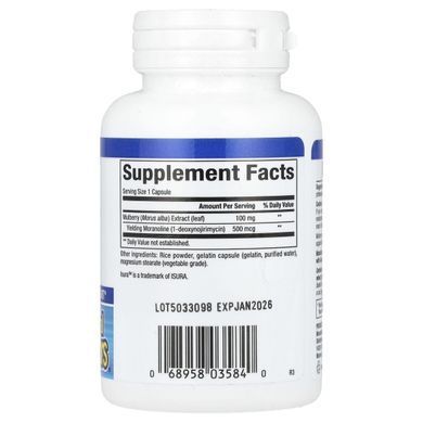 WellBetX, мультиягідний екстракт, Natural Factors, 100 мг, 90 капсул