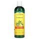 TheraNeem Organix, кондиционер для кожи головы, Neem, лимон и мята, Organix South, 12 жидких унции (360 мл) фото