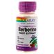 Берберин, экстракт корня, продвинутая формула, Advanced Formula Berberine Root Extract, Solaray, 60 вегетарианских капсул фото