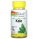 Капуста кале Solaray (Grown Kale) 440 мг 100 капсул фото