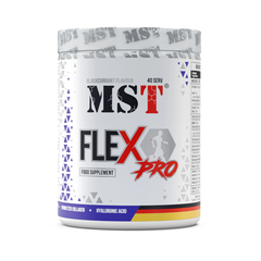 FleX Pro MST 420 g blackcurrant купить в Киеве и Украине