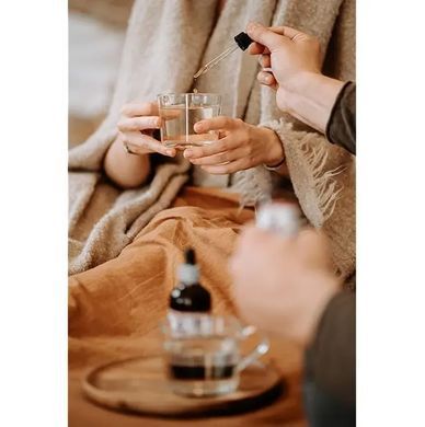 Органический лимонник китайский без спирта Hawaii Pharm (Schisandra Organic Alcohol-FREE) 120 мл купить в Киеве и Украине