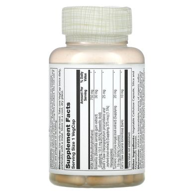 Метилсульфонілметан Solaray (Methylsulfonylmethane) 750 мг 90 капсул
