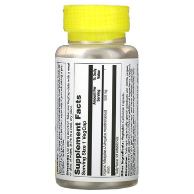 Астрагал Solaray (Astragalus) 550 мг 100 капсул