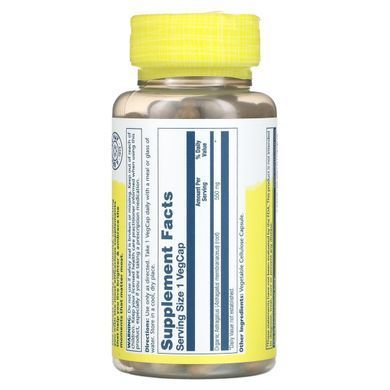 Астрагал Solaray (Astragalus) 550 мг 100 капсул купить в Киеве и Украине