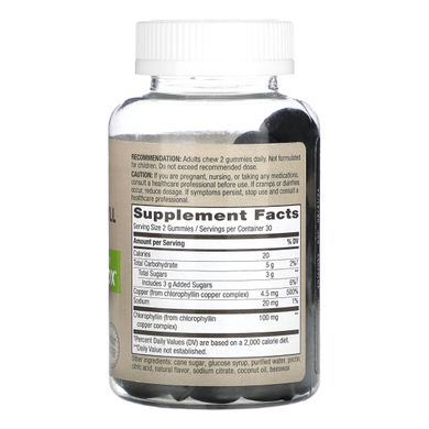 Chlorophyll Gummy - 60 ct Nature's Way