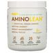 Амінокислоти AminoLean, ананас кокос, Pineapple Coconut, RSP Nutrition, 225 г фото