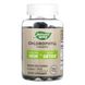 Chlorophyll Gummy - 60 ct Nature's Way фото