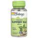 Вяз ржавый, Slippery Elm Bark, Solaray, 400 мг, 100 легко глотаемых капсул фото