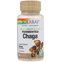 Гриб Чага ферментированный органик Solaray (Chaga) 500 мг 60 вегетарианских капсул купить в Киеве и Украине