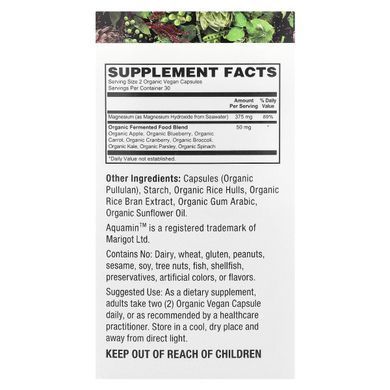 PlantFusion, Vegan SeaWater Magnesium, 60 Organic Vegan Caps купить в Киеве и Украине