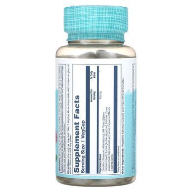 Комплекс защиты печени Solaray (Liver Blend SP-13) 100 капсул купить в Киеве и Украине