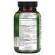 Ginkgo Smart, maximum concentration and memory, Irwin Naturals, 60 liquid capsules