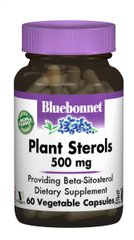 Растительные стерины, Bluebonnet Nutrition, 500 мг, 60 гелевых капсул купить в Киеве и Украине