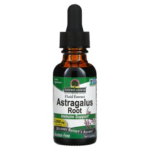 Жидкий Астрагал без спирта Nature's Answer (Astragalus) 2000 мг 30 мл купить в Киеве и Украине