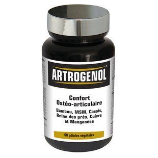 NUTRI EXPERT ARTROGENOL / ARTROGENOL, 60 capsules