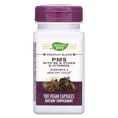 ПMС формула для женщин, PMS With Vitamin B6, Nature's Way, 100 вегетарианских капсул купить в Киеве и Украине