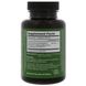 Гіностемма Dragon Herbs (Gynostemma) 450 мг 100 капсул фото
