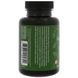 Гиностемма Dragon Herbs (Gynostemma) 450 мг 100 капсул фото