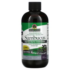Черная бузина натуральный вкус Nature's Answer (Sambucus) 12000 мг 240 мл купить в Киеве и Украине