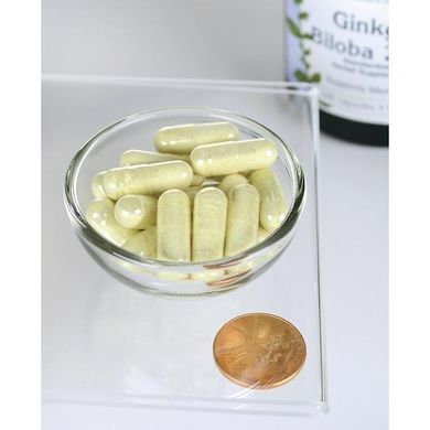 Экстракт гинкго билоба - стандартизированный, Ginkgo Biloba Extract - Standardized, Swanson, 60 мг 240 капсул купить в Киеве и Украине