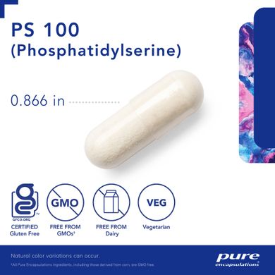 Фосфатидилсерин Pure Encapsulations (PS 100 Phosphatidylserine) 60 капсул купить в Киеве и Украине