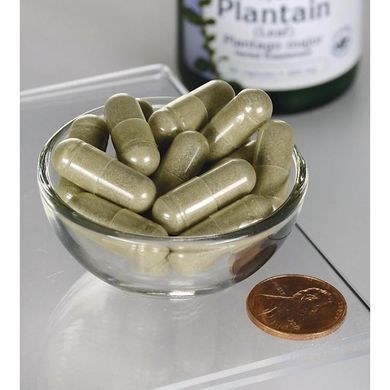 Подорожник крупный лист Swanson (Full Spectrum Plantain Leaf Plantago Major) 400 мг 60 капсул купить в Киеве и Украине