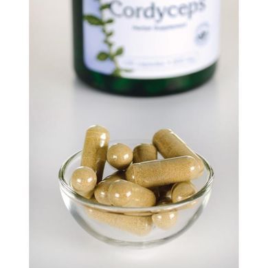 Грибы Кордицепс, Cordyceps Sinensis Mushroom, Swanson, 600 мг, 120 капсул купить в Киеве и Украине