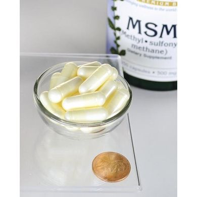 Метілсульфонілметан, MSM, Swanson, 500 мг, 250 капсул