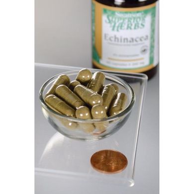 Ехінацея, Echinacea (Standardized), Swanson, 200 мг, 60 капсул