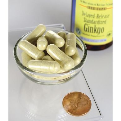 Стандартизированный экстракт гинкго билоба Swanson (Ginkgo Biloba Extract Standardized) 100 капсул купить в Киеве и Украине