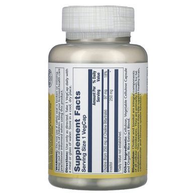 Холин и инозитол Solaray (Choline & Inositol) 250 мг 100 капсул VegCap купить в Киеве и Украине