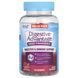 Жевательные пробиотики для пищеварения Schiff (Digestive Advantage Daily Probiotics Gummies) 90 жевательных конфет натуральные фруктовые смаки фото
