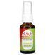 Eclectic Institute, Kids Herbs, echinacea yellow root, orange, 1 fl oz (30 ml)