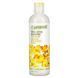Petal Fresh, Шампунь для полной детоксикации, корень имбиря, белый уголь, сыр матча, 12 жидких унций (355 мл) фото