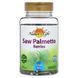 Nature's Life, Saw Palmetto Berries, 1,160 mg, 100 Vegetarian Capsules (580 mg per Capsule)