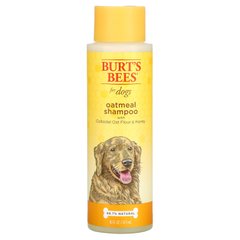 Burt's Bees, Овсяный шампунь для собак, коллоидная овсяная мука и мед, 16 жидких унций (473 мл) купить в Киеве и Украине