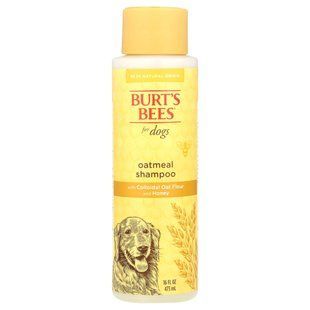 Burt's Bees, Овсяный шампунь для собак, коллоидная овсяная мука и мед, 16 жидких унций (473 мл) купить в Киеве и Украине