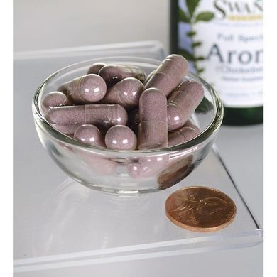Арония (Черноплодная рябина), Full Spectrum Aronia (Chokeberry), Swanson, 400 мг, 60 капсул купить в Киеве и Украине