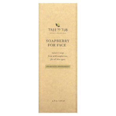 Refreshing cleansing product with soap tree for oily and sensitive skin, awakening peppermint, 120 ml (4 fl oz).