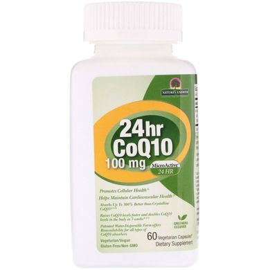 Коэнзим Q10 24 Часа Genceutic Naturals ( CoQ10 24 hr) 100 мг 60 капсул купить в Киеве и Украине