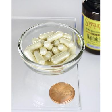 Swanson Nattokinase 2000 Fibrinolytic Units 100 mg 30 Capsules