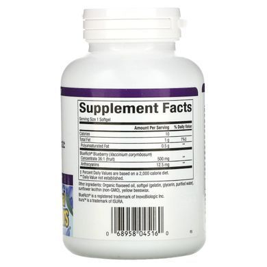 BlueRich, суперсила, концентрат чорниці, Natural Factors, 500 мг, 90 желатинових капсул