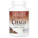 Full Spectrum, Chaga, Planetary Herbals, 1000 mg, 60 Tablets