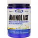 Gaspari Nutrition, Aminolast, Recovery & Endurance BCAA Superfuel, Lemon Ice, 14.8 oz (420 g)