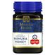Manuka Health, мед манука, MGO 573+, 500 г (17,6 унції) фото