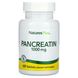 Панкреатин Nature's Plus (Pancreatin) 1000 мг 60 таблеток фото