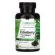 Бузина + витамин C + цинк, Elderberry + PureWay C + Zinc, Emerald Laboratories, 60 овощных капсул фото